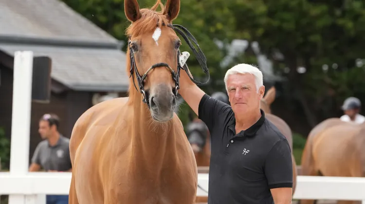 “Je me remets toujours en question, y compris la nuit”, lâche notamment Roger-Yves Bost. 