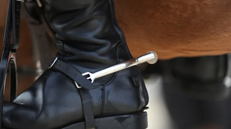 Pour l’heure, lles éperons demeurent obligatoires dans la totalité des compétitions internationales hormis les CDI Poneys et Enfants.