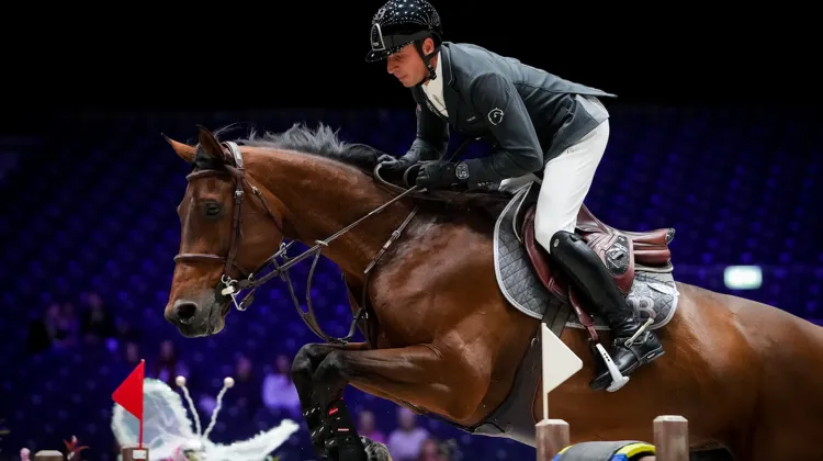 Julien Épaillard reste troisième du classement mondial en décembre. 