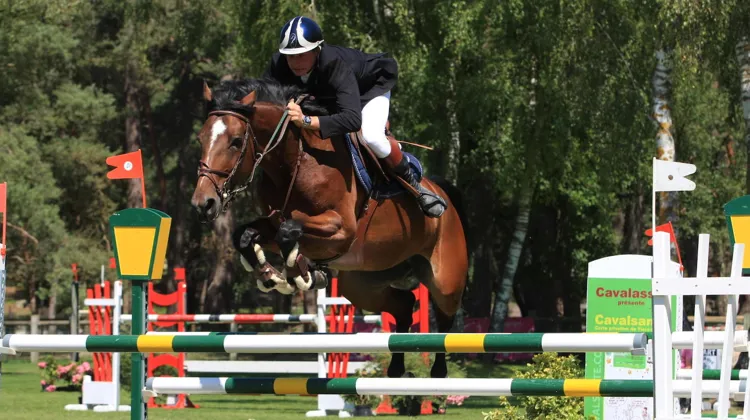 En tant que cavalier, Thomas Ponthieu a évolué jusqu’en CSI 3* avec Qualine de Courcel, une Selle Français née à l’élevage familial.