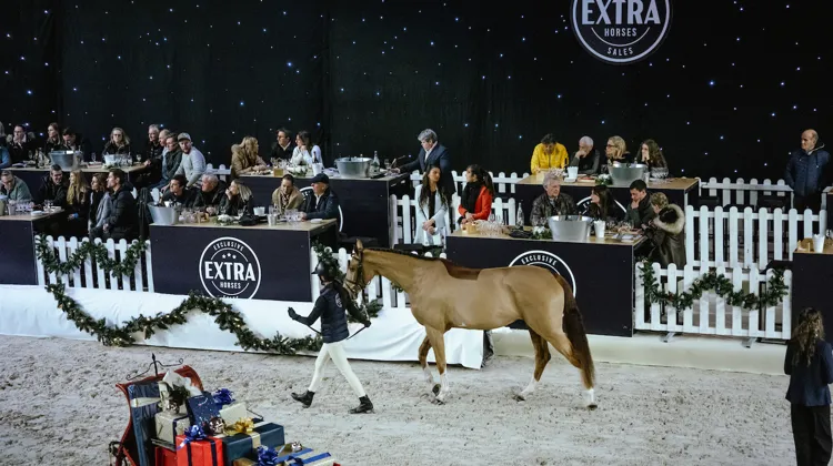 Plus de deux cent cinquante personnes ont fait le déplacement pour la deuxième édition de cette vente. 