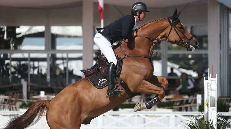 Premier Grand Prix 5* et première victoire pour le jeune alezan!