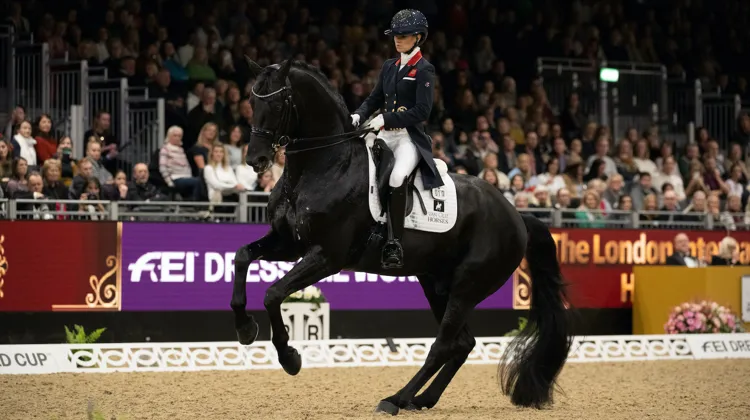 2022, année de tous les succès pour Charlotte Fry et Glamourdale!