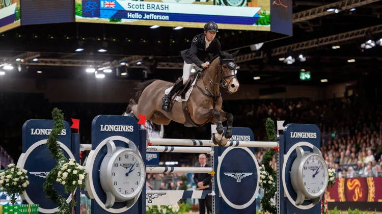 Quoi de mieux qu'une victoire à domicile pour célébrer les fêtes de fin d'année?