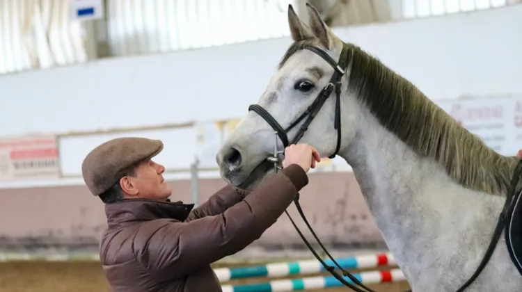 Éric Louradour décide de partager son savoir au plus grand nombre de cavaliers en dédiant la plus grande partie de son temps  à des stages : “Si je peux aider des chevaux à être mieux interprétés ou montés et des cavaliers à évoluer, je serais ravi de donner ainsi un sens à ma vie !”