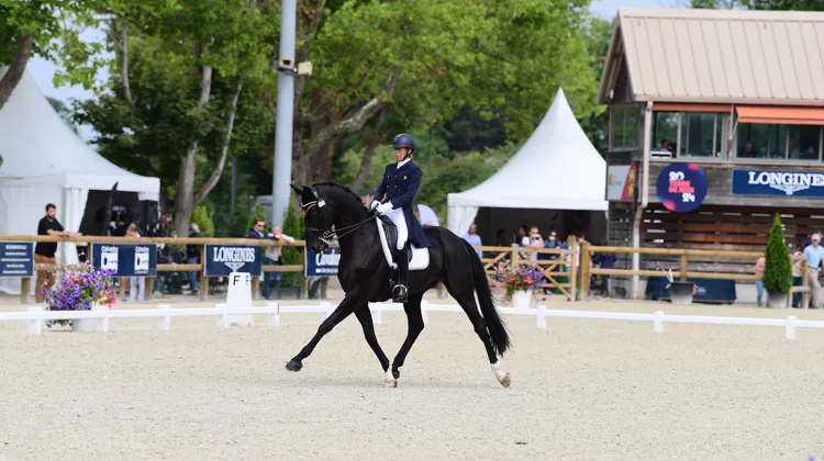 Désormais armée d’un piquet de chevaux attractif, dont fait partie l’élégant Devonport, ici à Deauville, Stéphanie Brieussel rêve de retrouver les plus grands rendez-vous.