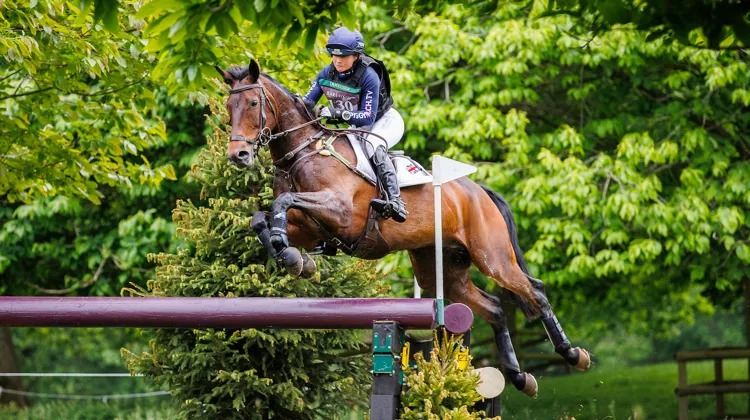 Ici à Houghton Hall avec Piggy March, Brookfield Quality poursuit désormais sa carrière sous la selle de Tom McEwen, coéquipier de Piggy March.