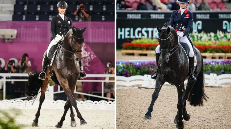 TSF Dalera BB et Glamourdale, les cracks de Jessica von Bredow-Werndl et Charlotte Fry, respectivement à gauche et à droite, risquent de livrer une belle bataille cette année sur le ring de dressage.