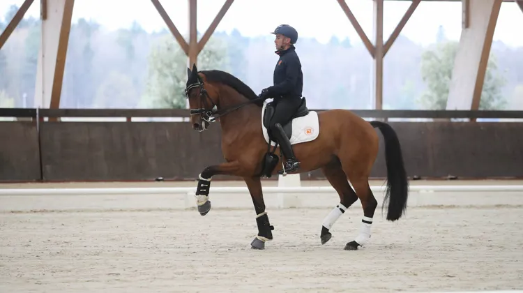 Alexandre Ayache et sa meilleure jument Jolene. 