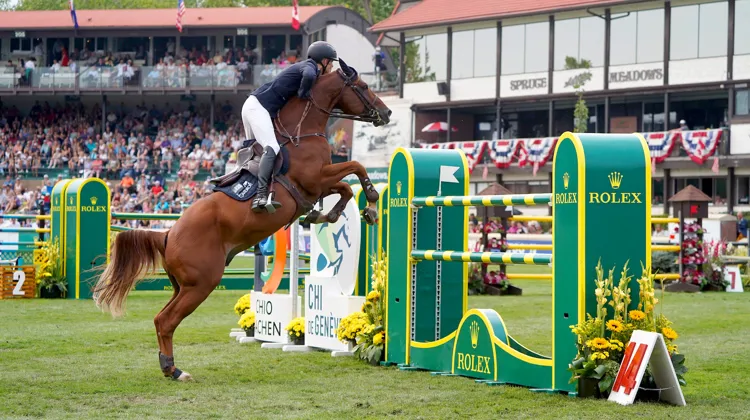 vainqueur l’an passé du Longines Global Champions Tour de Monte-Carlo sous la selle de l’Autrichien Max Kühner, EIC Coriolis des Isles est aujourd’hui le meilleur ambassadeur des souches vendéennes au plus haut niveau.