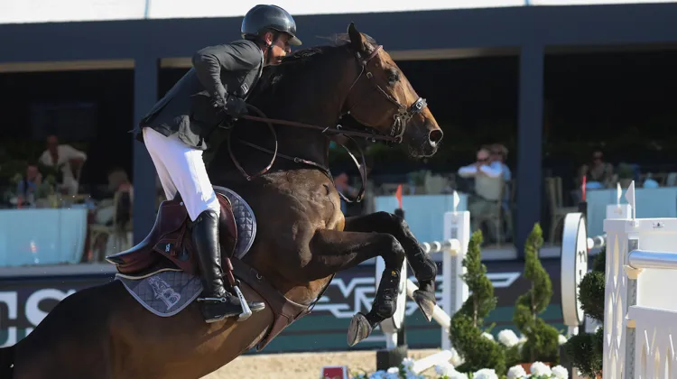 Julien Épaillard vient de remporter un nouveau Grand Prix 5* à Ramatuelle!