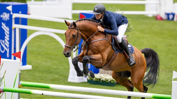 Grégory Wathelet et Bond Jamesbond de Hay à Aix-la-Chapelle. 