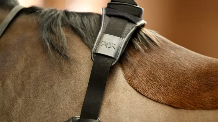 Développé par Arioneo, Equisym permet de mesurer les mouvements d’un cheval afin d’identifier d’éventuelles anomalies de locomotion.