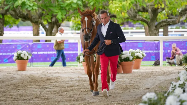 Initialement sélectionné avec Donatello d'Auge, Julien Épaillard montera finalement Dubaï du Cèdre, ici en photo, cet après-midi à Barcelone.