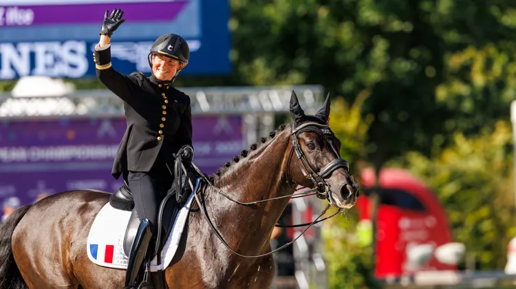 Pour la première fois de l’histoire, deux Tricolores (Morgan Barbançon Mestre avec Habana Libre A et Pauline Basquin avec Sertorius de Rima*IFCE) ont pris part au Grand Prix Libre des championnats d’Europe, à Riesenbeck.