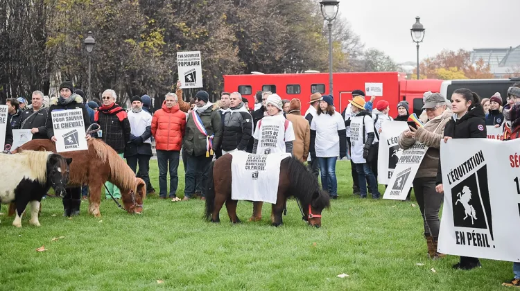 Durant dix ans, la mobilisation des dirigeants de centres équestres et poney-clubs, coordonnée par la Fédération française d’équitation et le Groupement hippique national, ne s’est jamais essoufflée.