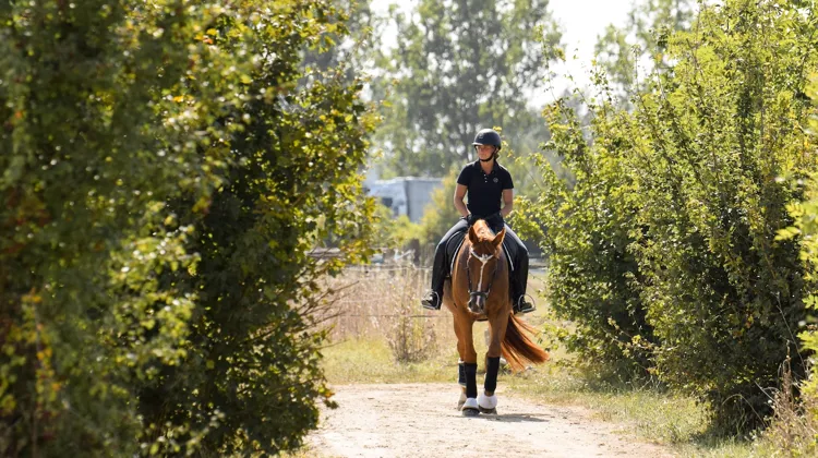Ici à côté de Don Amour, Alizée Roussel fait partie des figures montantes du dressage français.
