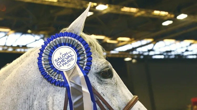 Le Salon du cheval de Paris fera son retour dans la capitale du 6 au 8 décembre 2024. 