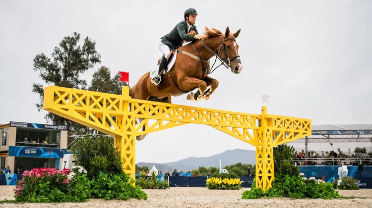 Pour les Jeux olympiques de Paris, Pedro Veniss est assuré de pouvoir conserver Nimrod de Muze*Império Egípcio sous sa selle.