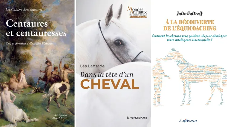 Notre dernière sélection littéraire.