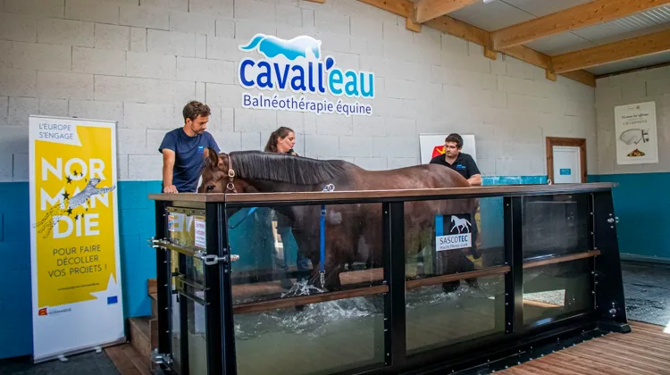 Les centres de balnéothérapie gagnent en popularité grâce à leurs techniques et pratiques qui combinent confort et santé.