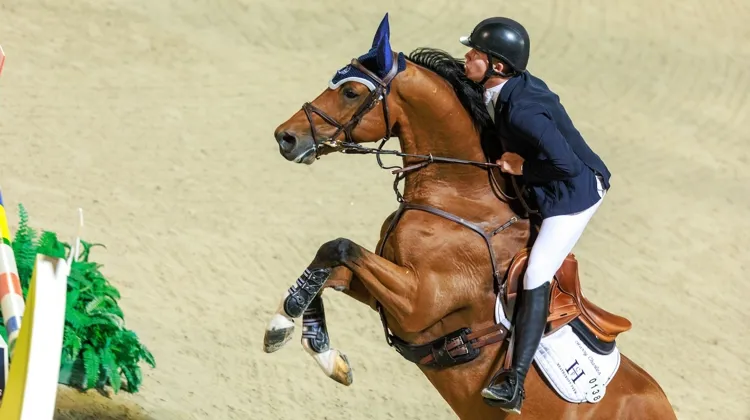 Si d’aventure Balou du Reventon n’était pas en capacité d’aller à Paris 2024, Harry Charles compte sur le jeune et prometteur Sherlock, ici à Barcelone.