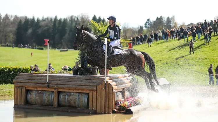 Nicolas Touzaint et Absolut Gold*HDC.