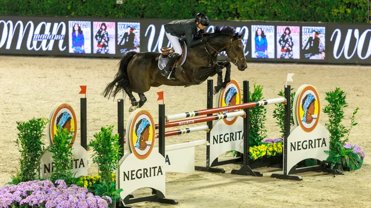 Avant de briller avec Julien Épaillard, ici au CSIO 5* de Barcelone, Donatello d’Auge a été formé par Séverin Sigaud.