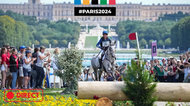 Nicolas Touzaint et Diabolo Menthe ont conclu une magnifique journée de sport par une tout aussi magnifique prestation!
