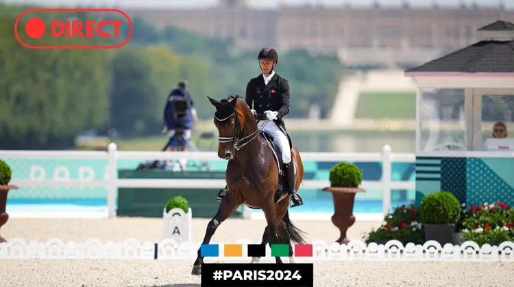 Jour 2 de dressage aujourd’hui à Versailles. 