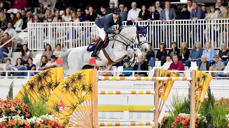 Daniel Bluman et Corbie se sont imposés à Ocala hier soir