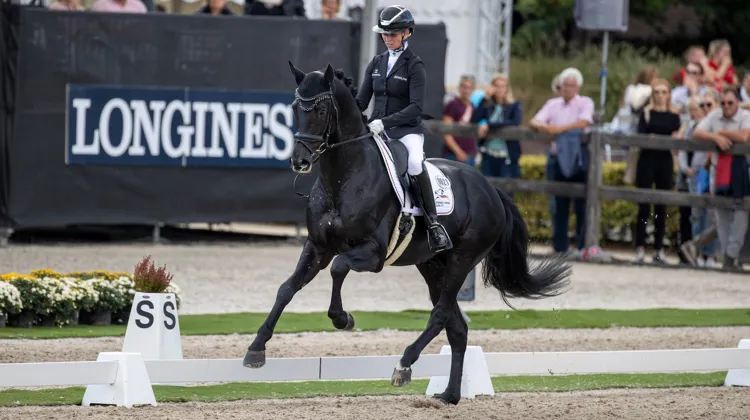 Global Player est devenu champion du monde des six ans, dimanche, sous la selle d'Eva Möller.