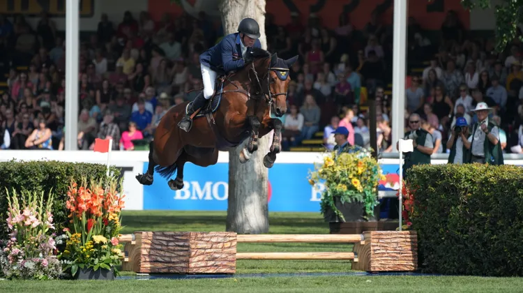 Jens Fredricson et Markan Cosmopolit une réliasé une nouvelle performance de haute volée, hier à Calgary