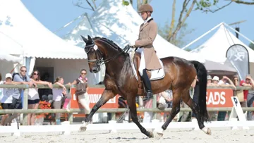Le Pôle international du cheval, à Deauville, accueille un CDI 3* ce week-end. Ci-dessus, Bertrand Lebarbier, cavalier au PIC.