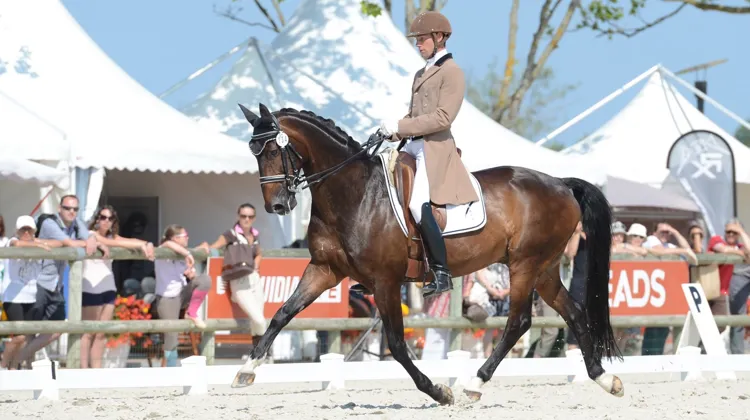 Le Pôle international du cheval, à Deauville, accueille un CDI 3* ce week-end. Ci-dessus, Bertrand Lebarbier, cavalier au PIC.