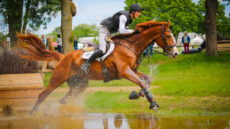 Le cross a été une formalité pour Gireg Le Coz et Caramel d’Orchis ce midi dans le Maine-et-Loire.