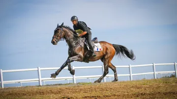 L’an passé, Edelweis Pompadour s’est classé septième du CCI 3*-L de Lignières-en-Berry avec le colonel Thibaut Vallette.