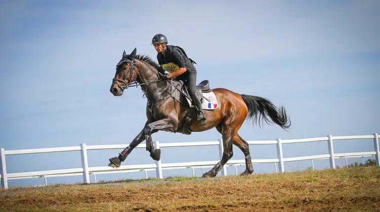 L’an passé, Edelweis Pompadour s’est classé septième du CCI 3*-L de Lignières-en-Berry avec le colonel Thibaut Vallette.