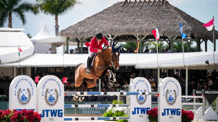 Karl Cook et Candy ont gagné leur premier Grand Prix dès leur première tentative à 1,55m.