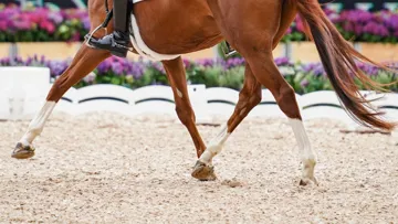 Le Saint Georges est une étape importante dans l'évolution d'un couple