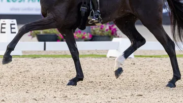 Les acteurs du dressage se sont réunis le 1er octobre au siège de la FEI, à Lausanne