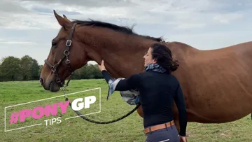 Comment aider un cheval qui tousse à mieux respirer grâce au massage, avec Stéphanie de PonyCorn 