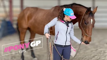 Comment désensibiliser un cheval, avec Stéphanie de PonyCorn
