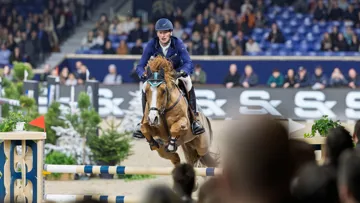 Tobago et Daniel Deusser ont remporté la compétition des “Sires of the World”, ce vendredi à Malines