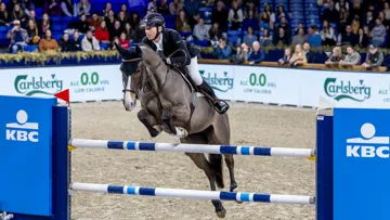 Ce samedi, Koen Vereecke a imposé Oilily de Muze à Malines, où il avait déjà montée la baie en 2023