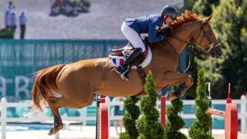 Dubaï du Cèdre s’est imposée comme l’une des principales porte-drapeaux du Selle Français en 2024