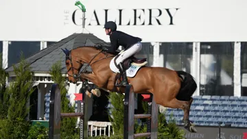 Darragh Kenny et Chaccossini au CSI 3* de Wellington