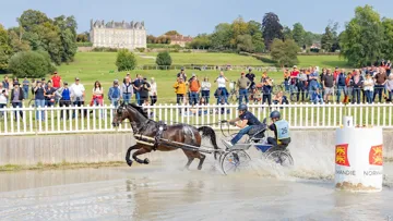 Marion Vignaud aux championnats du monde d'attelage au Haras du Pin, en septembre 2024.