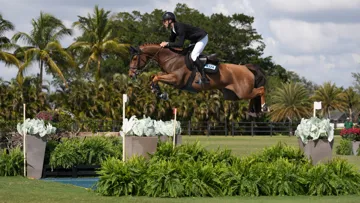Richard Vogel a mené Cydello à une nouvelle victoire sous les palmiers de Wellington