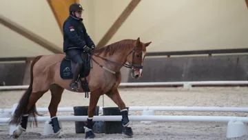 Vincent Brunet fait actuellement la connaissance de Drazic, qui l’accompagnera en Grade I.